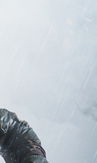 Tomb Raider Technical Support