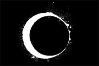 Shadow of the Tomb Raider Video