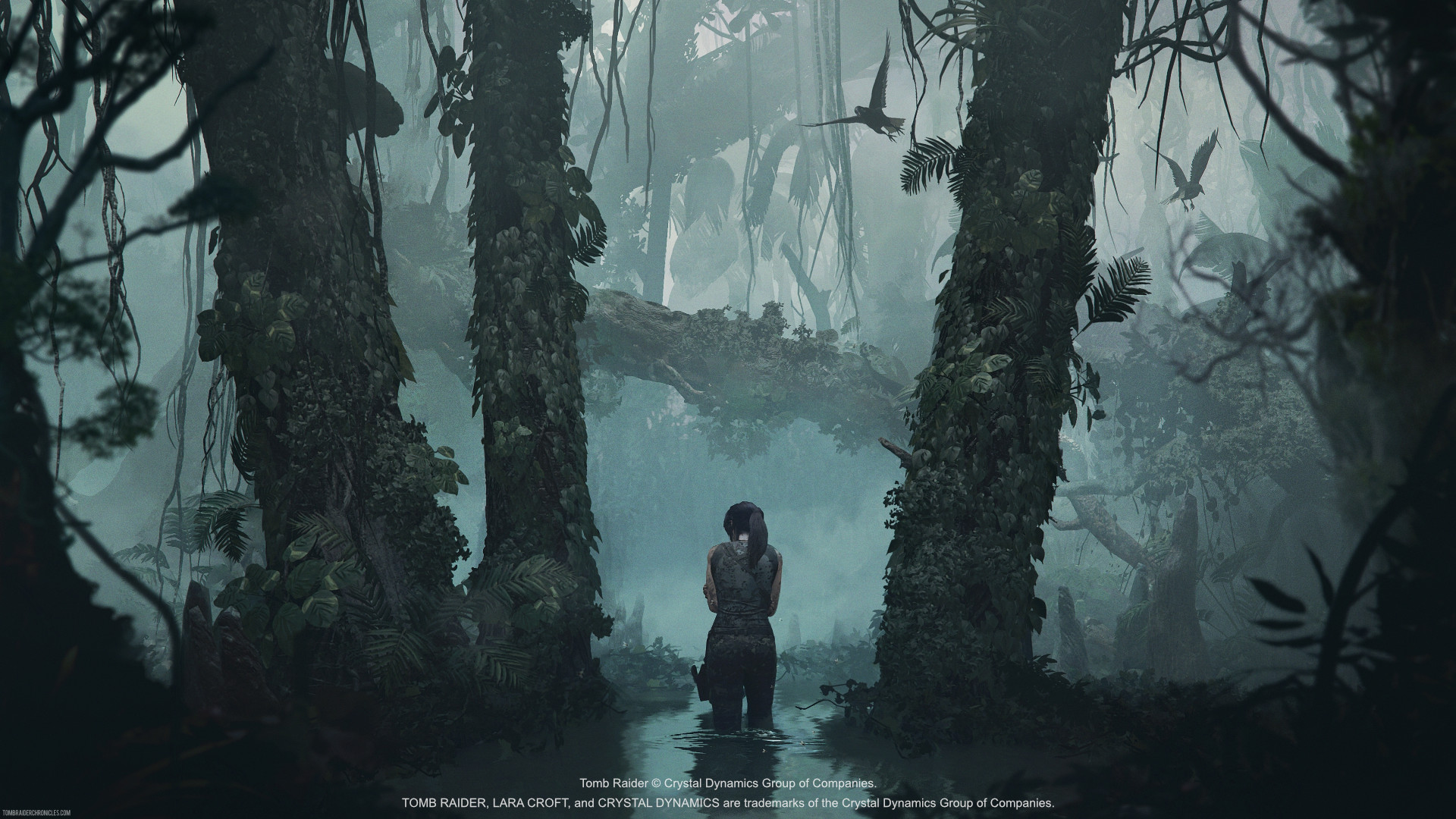 Shadow of the Tomb Raider, Eidos Montreal, Crystal Dynamics