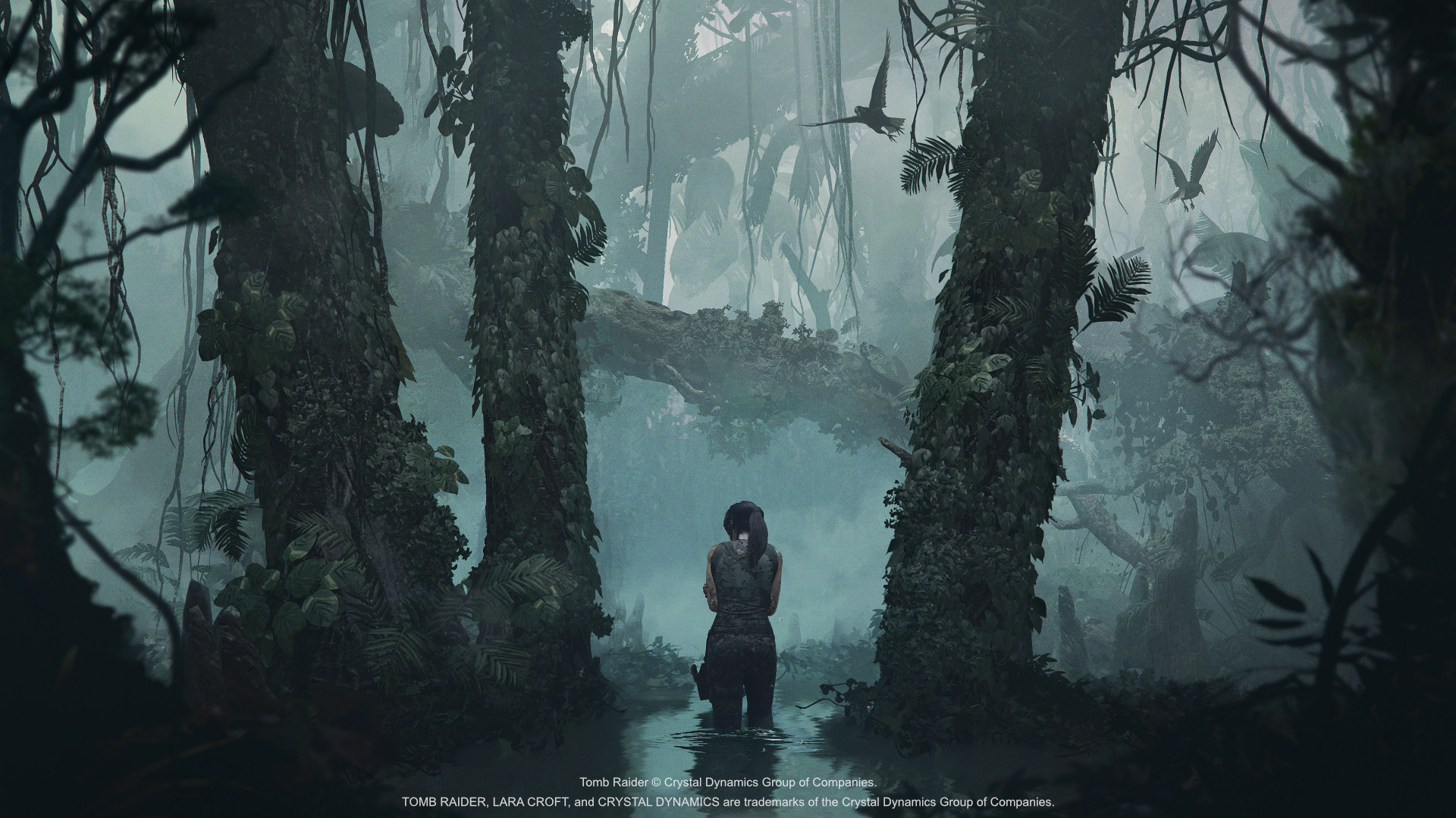 Shadow of the Tomb Raider, Eidos Montreal, Crystal Dynamics