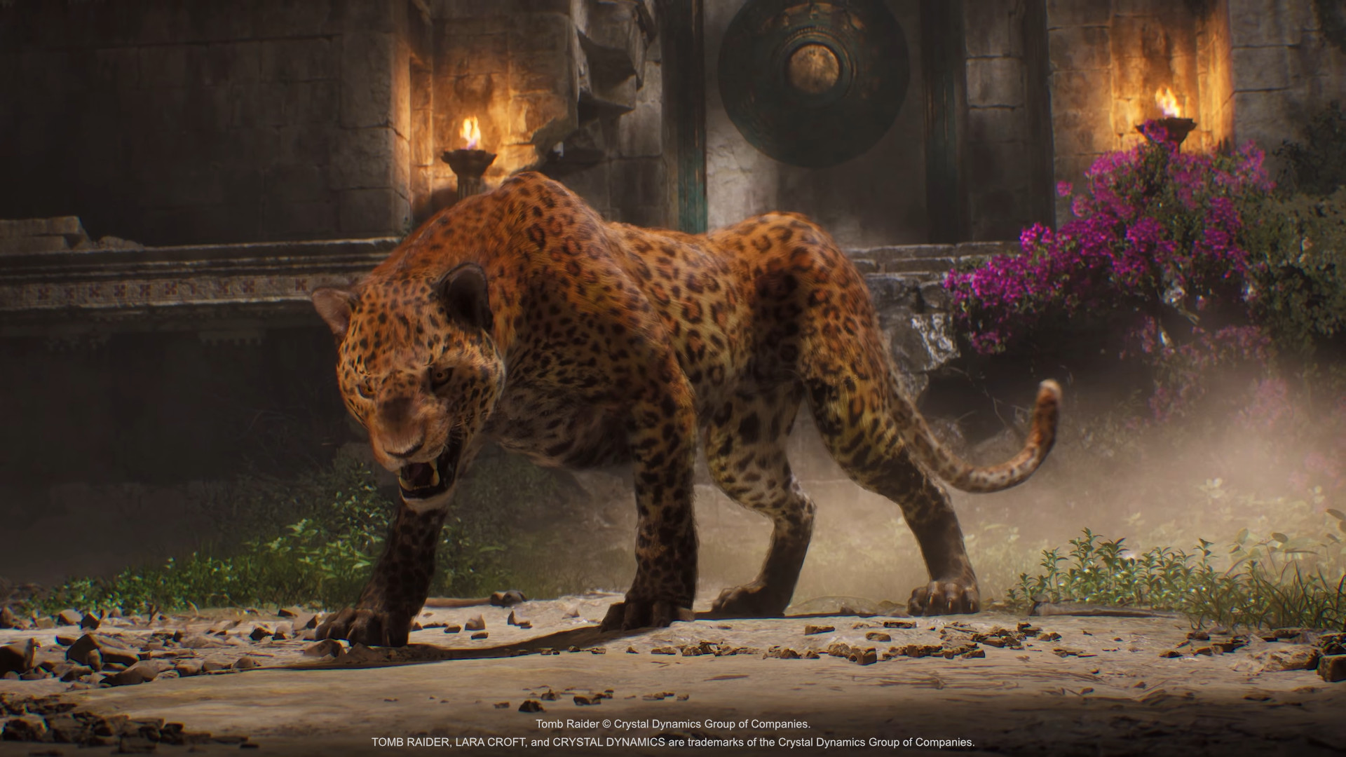 Tomb Raider Legacy of Atlantis, Crystal Dynamics, Flying Wild Hog, Amazon Game Studios