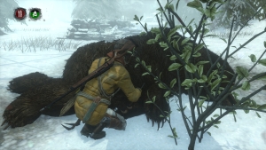Rise of the Tomb Raider Endurance Screenshots