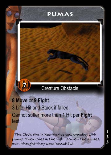 Tomb Raider Collectible Card Game