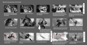 Tomb Raider from Crystal Dynamics Storyboards