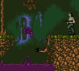 Tomb Raider on Nintendo Gameboy Color Screenshots