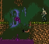 Tomb Raider on Nintendo Gameboy Color Screenshots