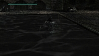 Tomb Raider Legend PSP Screenshots Grave