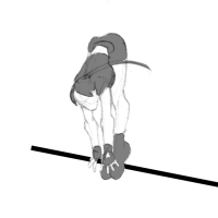 Tomb Raider Legend Fluid Movement Sketches