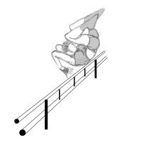 Tomb Raider Legend Fluid Movement Sketches