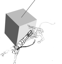 Tomb Raider Legend Fluid Movement Sketches