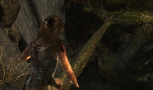 Tomb Raider from Crystal Dynamics AMD TressFX Comparison Screenshots