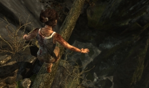 Tomb Raider from Crystal Dynamics AMD TressFX Comparison Screenshots