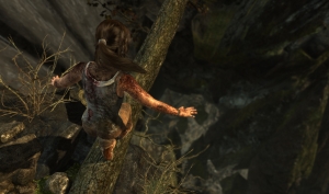 Tomb Raider from Crystal Dynamics AMD TressFX Comparison Screenshots