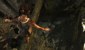 Tomb Raider from Crystal Dynamics AMD TressFX Comparison Screenshots