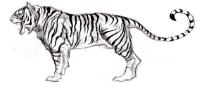 Tomb Raider Underworld Creature Concepts Tiger