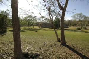 Tomb Raider Underworld Mexico Reference Photographs