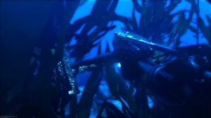 Tomb Raider Underworld Xbox 360 Screenshots