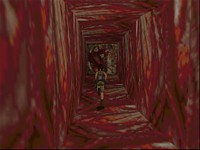 Tomb Raider