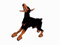 Tomb Raider II