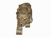 Tomb Raider II