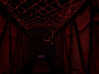 Tomb Raider III